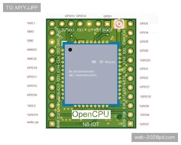 中断规则：裁判何时必须中断比赛及重启程序解析